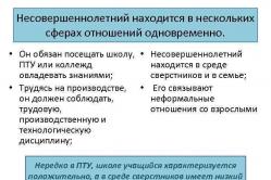 Криминальные детские и молодежные сообщества, группировки и их негативное влияние